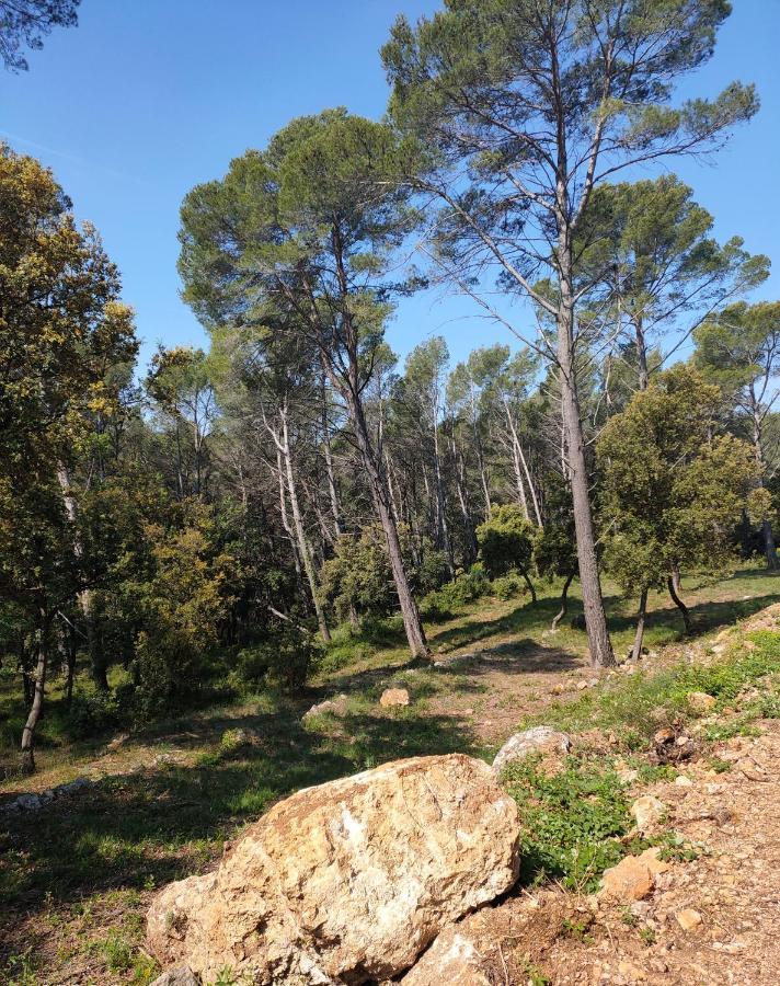 Les Hauts Du Peireguier La Motte Exterior foto